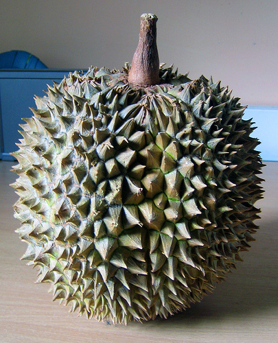 the durian