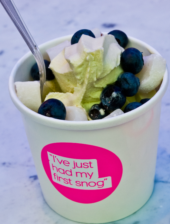 snog-22