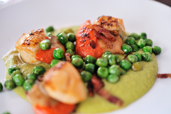 Scallops, peas, samphire